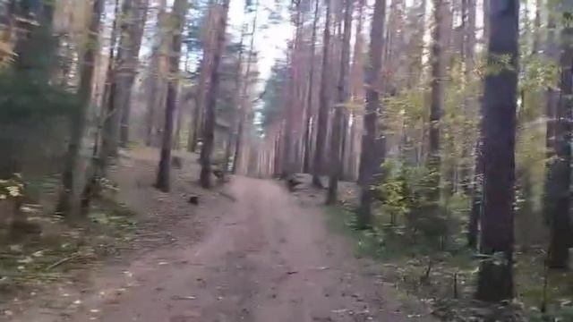 12-09-2025  Сосновый бор