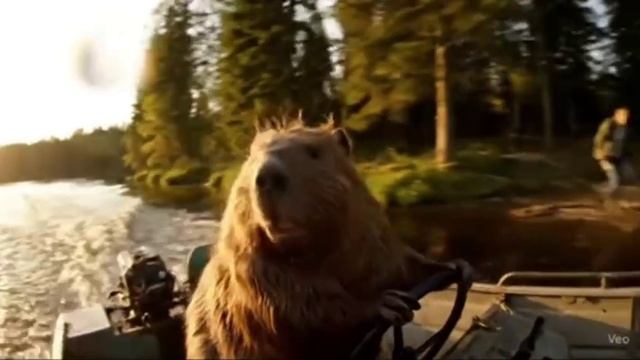 Ох уж эти Нейросети!