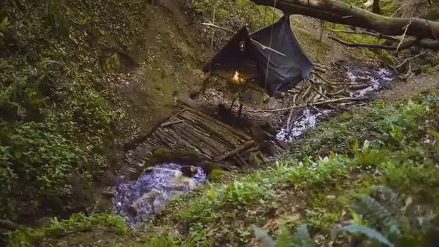 Уникальныи домик на дереве 3 дня в одиночестве приготовление еды