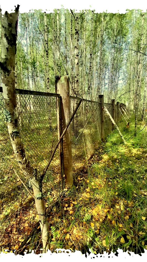 ДЕРЕВНЯ ПРИКЛЮЧЕНИЙ "БАБКА В ДЕРЕВНЕ"