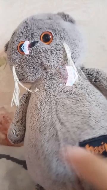 Анатолий басюля