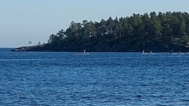 Продолжаю самостоятельную прогулку.