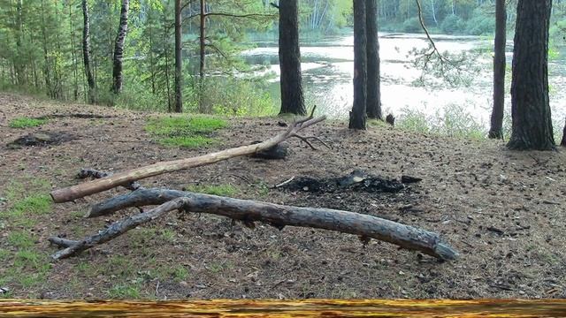 Муромцево   12 сентября  2025г Осень на привале ,осень у  фонтане