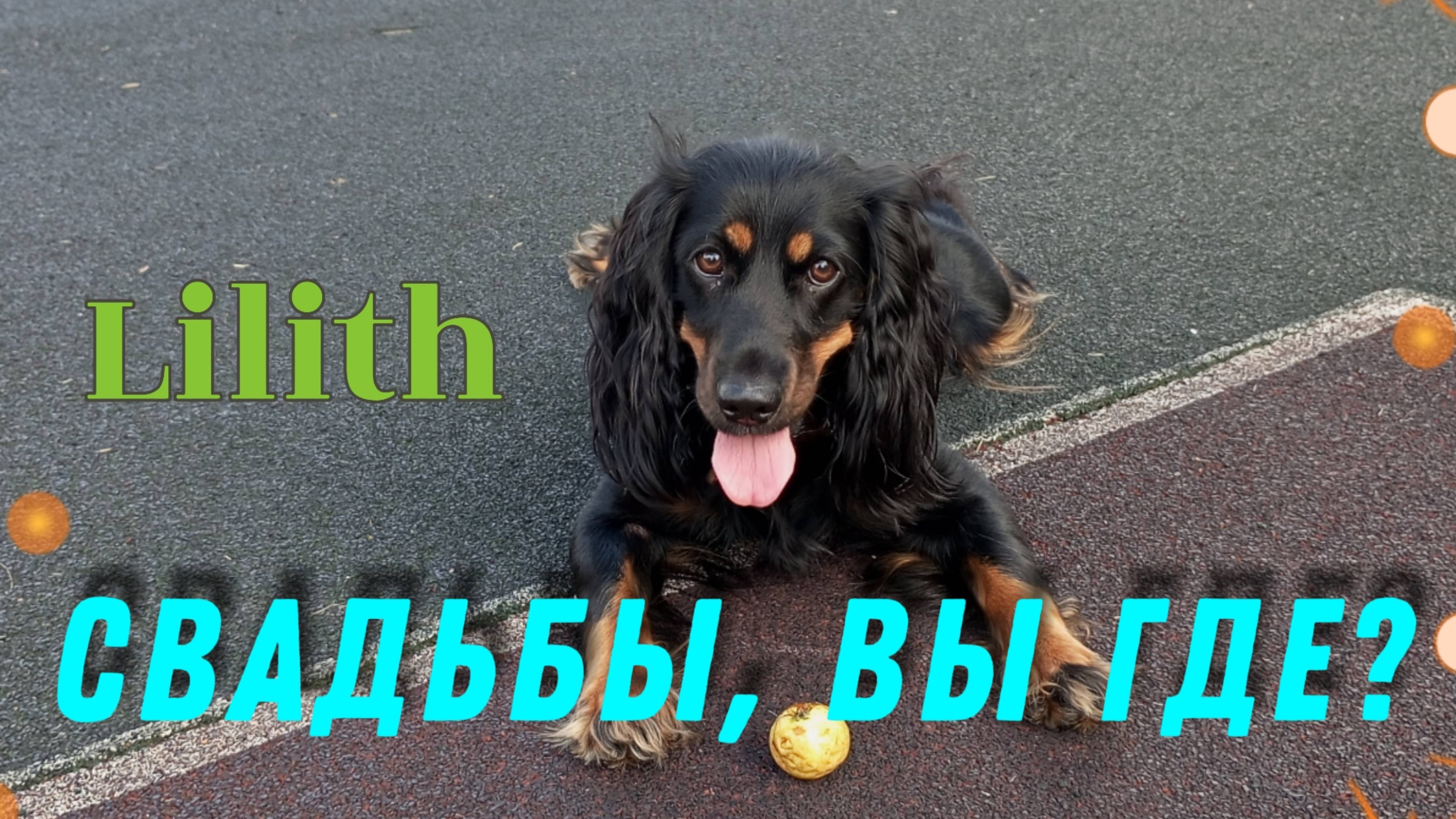 Куда пропали свадьбы? 🤔