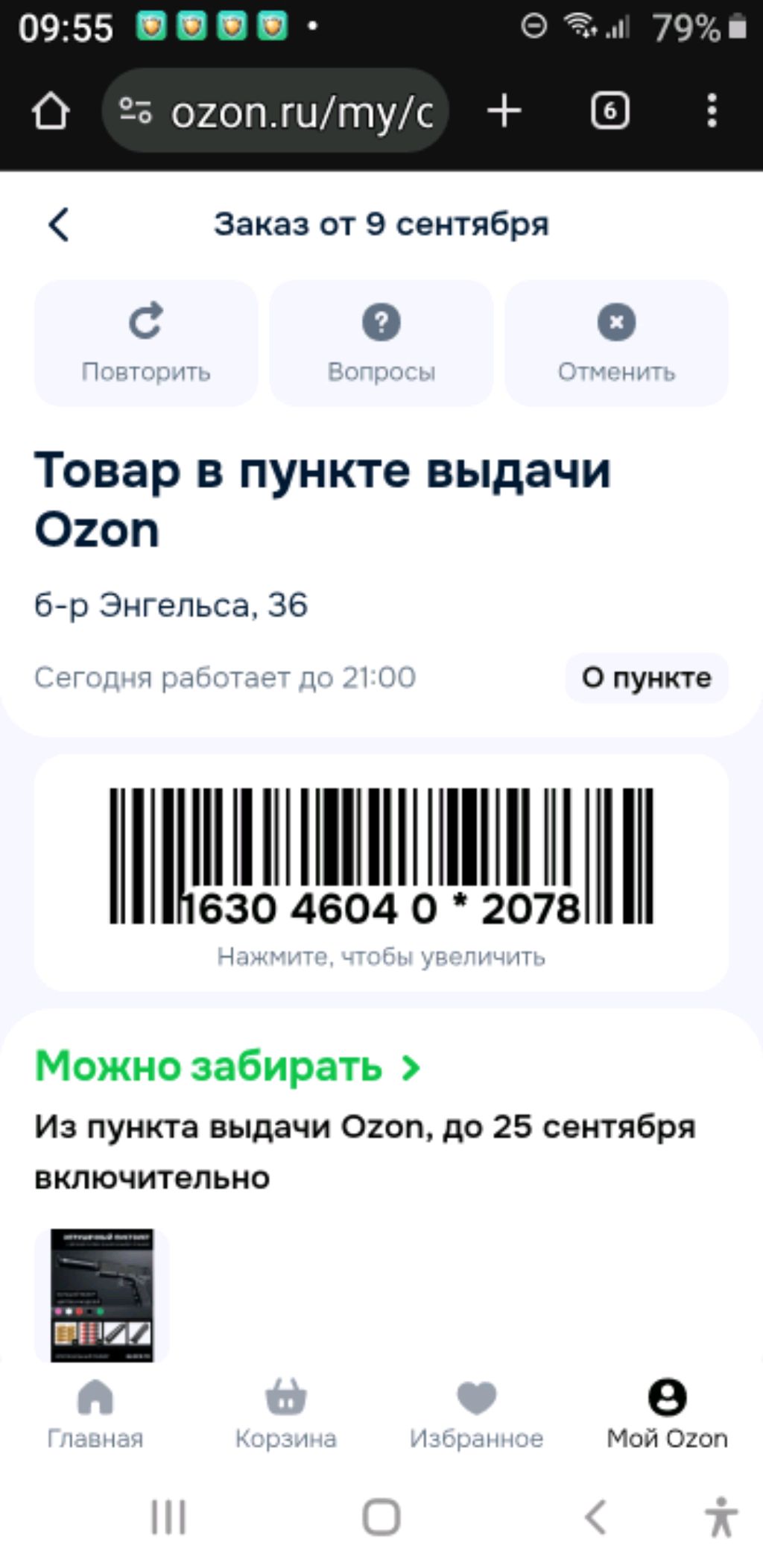 грудь