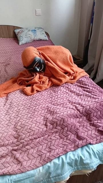 новый корм снюсоеда.