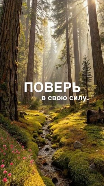 Сила внутри тебя!☀️ ©DegDi🔥