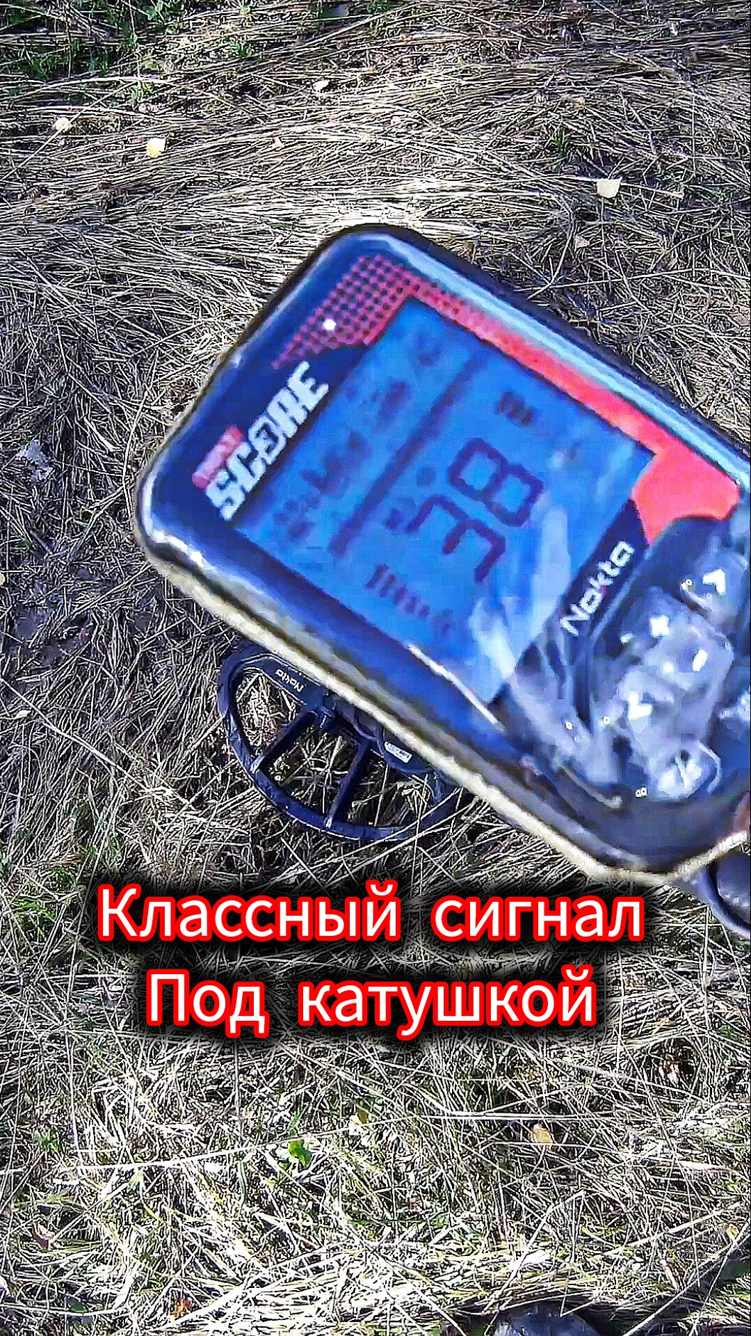 Классный сигнал под катушкой 🔥🤣