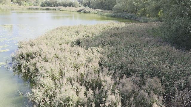 Река Лазурь, Тверь.