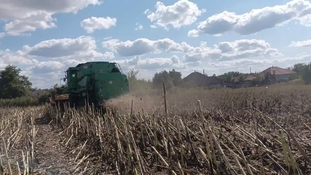 выехали первый день на уборочную подсолнечника настраиваемся