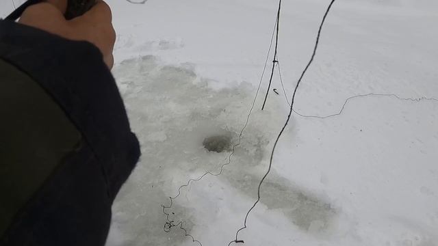 РЫБАЛКА НА КОСЫНКИ.  ВЕСЬ ДЕНЬ ДОЖДЬ А РЫБА ЛОВИТЬСЯ. ОДИН В ЛЕСУ.