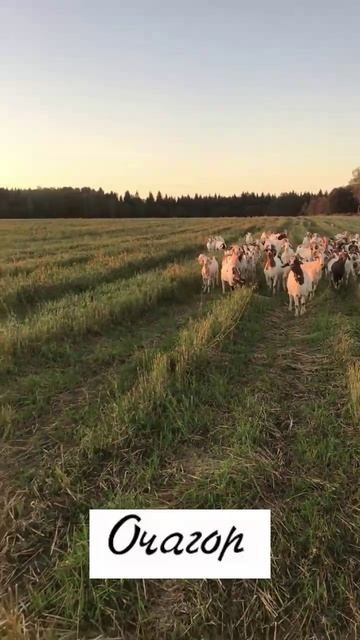 Бьют свинцовые ливни, нам пророчат беду.. мы на плечи взвалили …