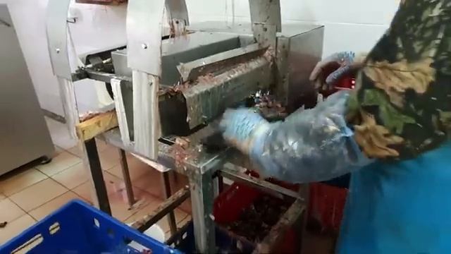 Рыборазделочная машина РМ-200. NVTT.RU