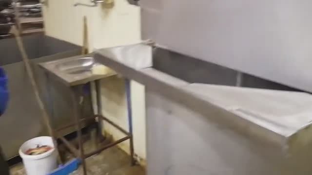 Машина для очистки тушек кальмара КМ-200. NVTT.RU