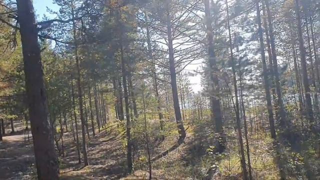 Можно ли заблудиться на острове?