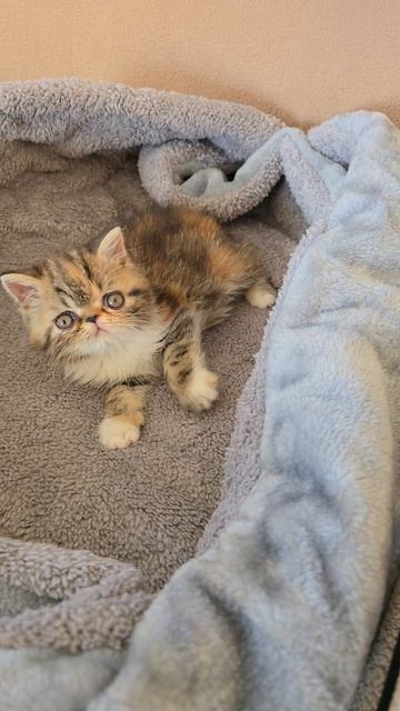 Доброе утро😸💓