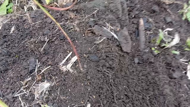 Коп в деревушке часть2.+4