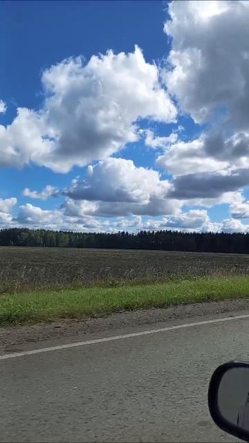 дорога на рыболку