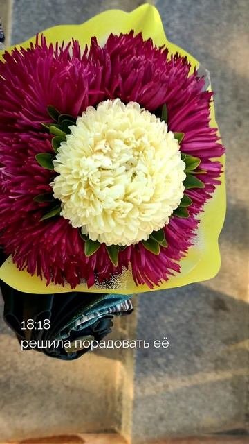 пятница, вечер, влог