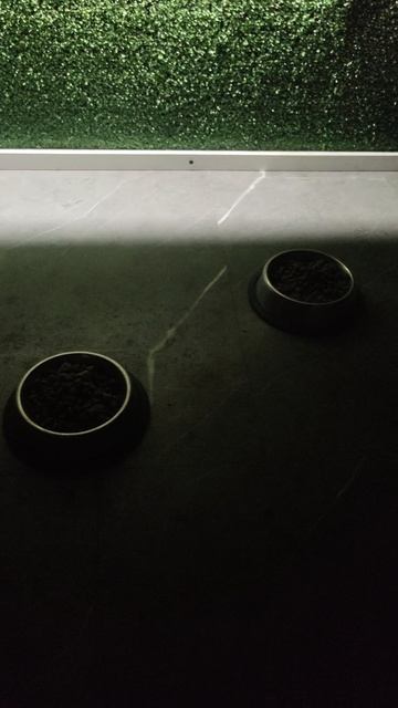 Как-то быстро закончились вкусняшки.