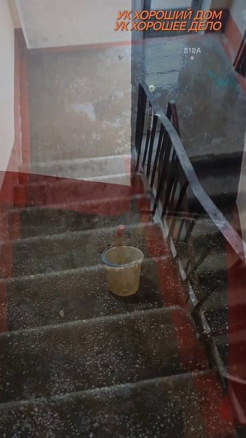 ГОСТИНИЧНАЯ ЧАСТОТА