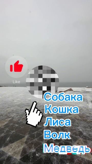 Развиваем интуицию