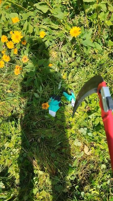 Супер мини коса 👍💥