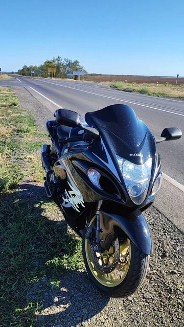 Suzuki GSX1300R Hayabusa Shorts