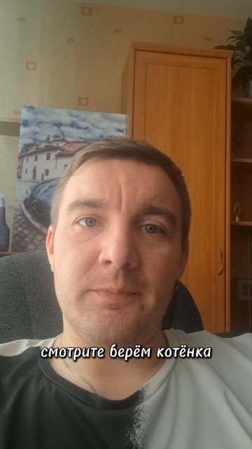 Как узнать пол котёнка. 100% работающий лайфхак