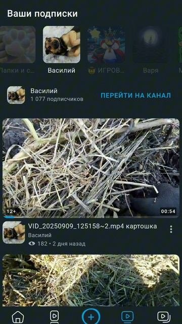 *вставить текст*