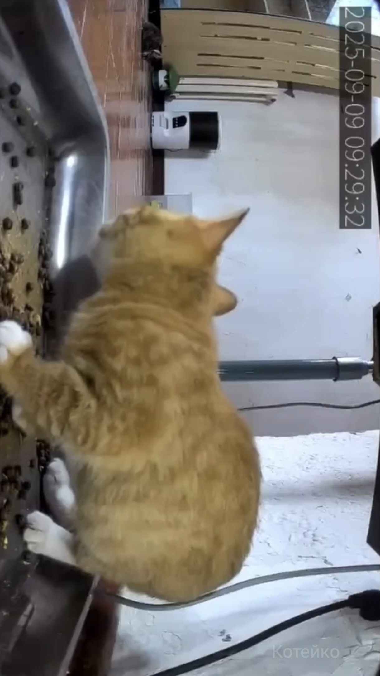 А вдруг доставка еды?! 