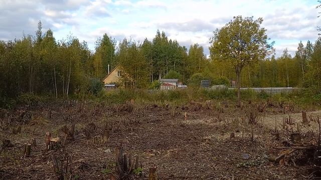 Освоение неразработанного участка, земли населенных пунктов, город Вологда (Часть 13)