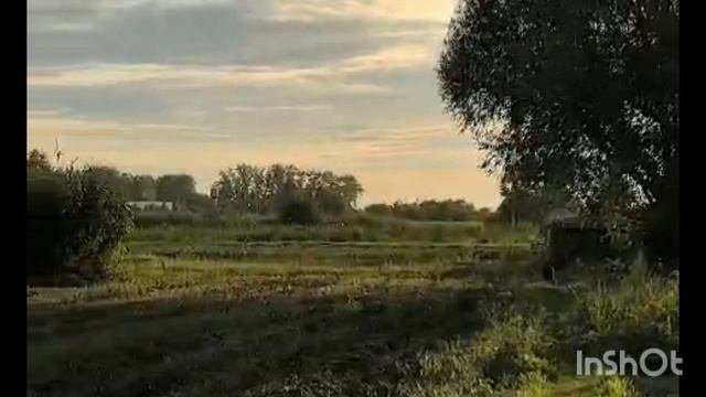 Сентябрь. Бабье лето.