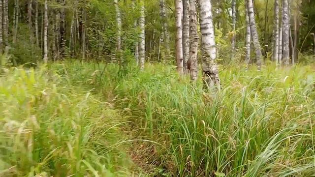 последние деньки отпуска