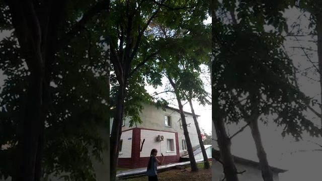 гуляем с Наташей
