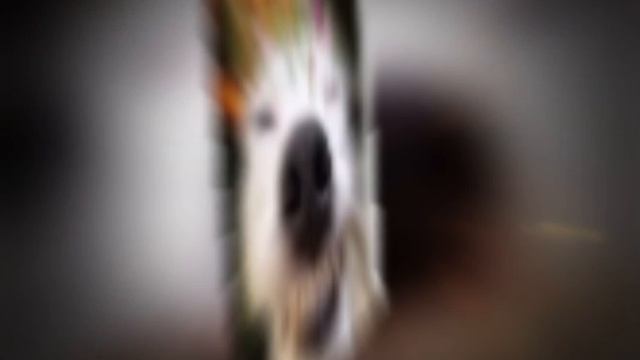 я научилась монтировать