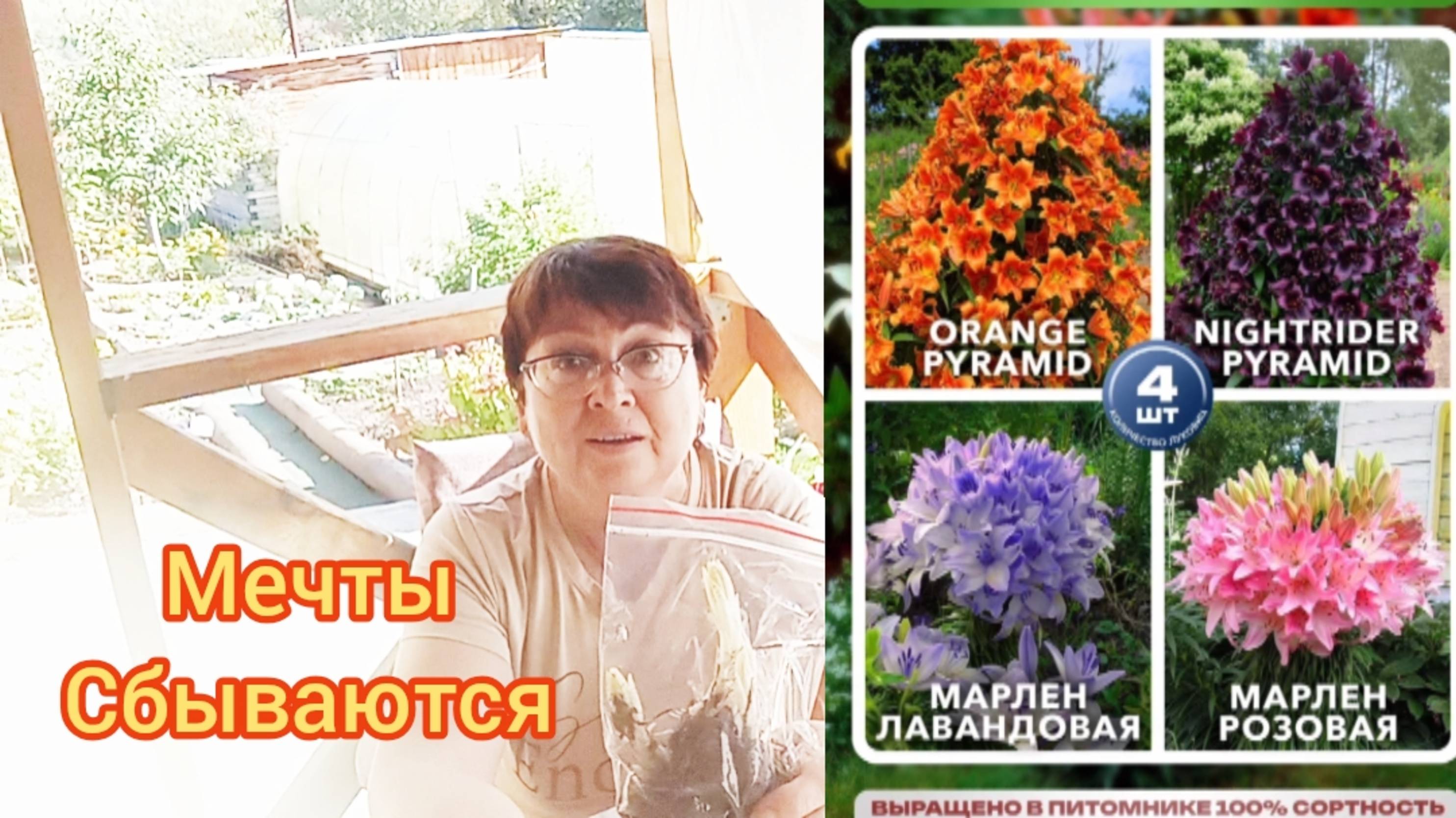 МЕЧТЫ СБЫВАЮТСЯМНОГОЦВЕТКОВЫЕ ЛИЛИИ.
