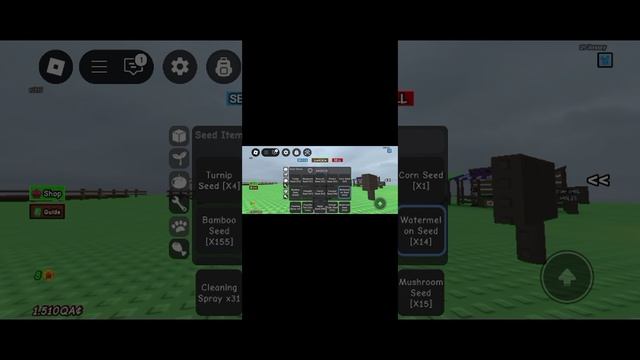 мой сад в гров гарден