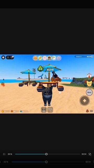 SVID_20250913_144820_1.mp4