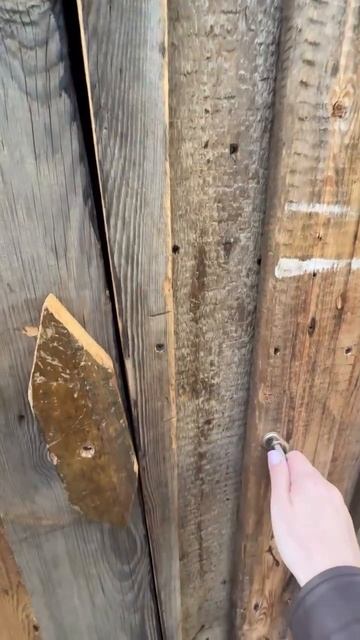 Деревенский туалет.mp4