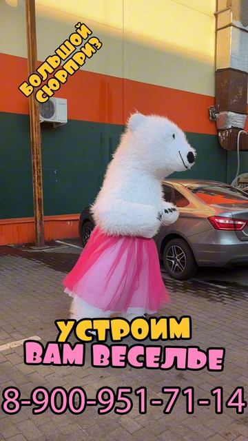 Белыи Мишка выступление на дне рождении