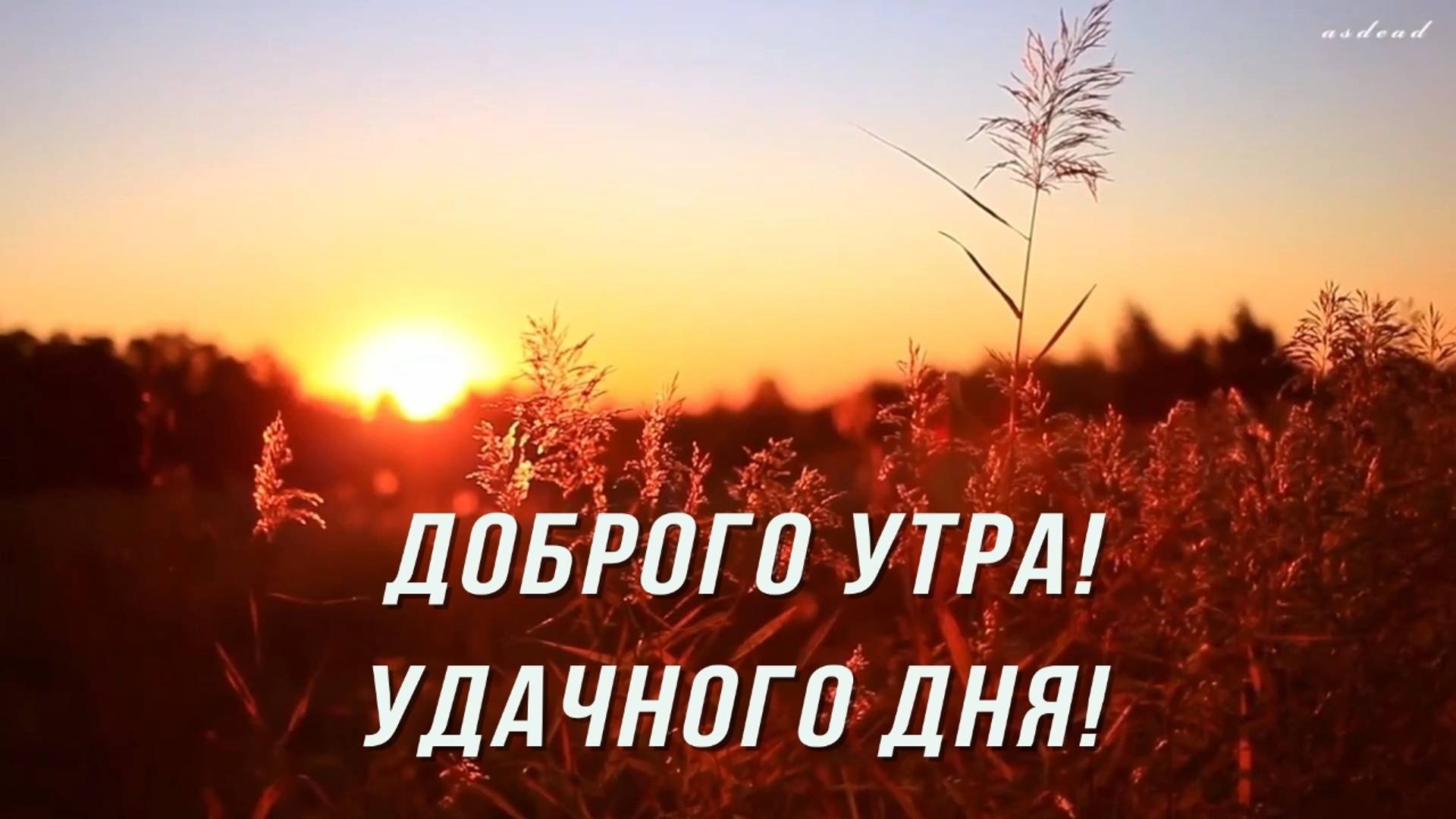 Доброго утра! Удачного дня. Осень.