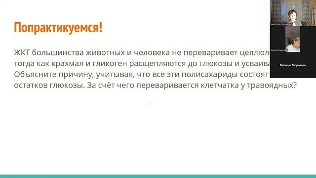 Углеводы и липиды 12.09.25 (2)