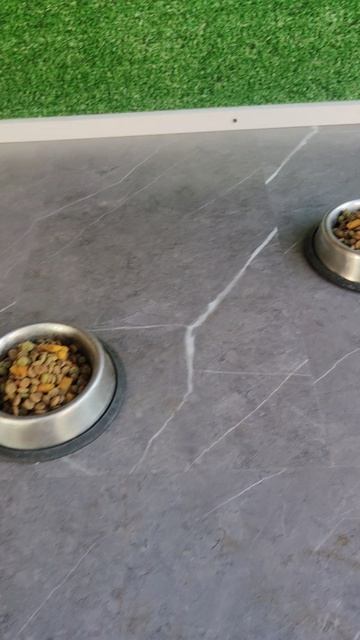 После ночи всегда одно и тоже.