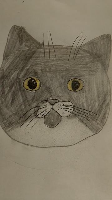 На конкурс Мия огонь но только она теперь Мия котик