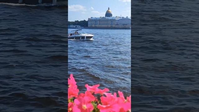 Яркие моменты питерского лета.