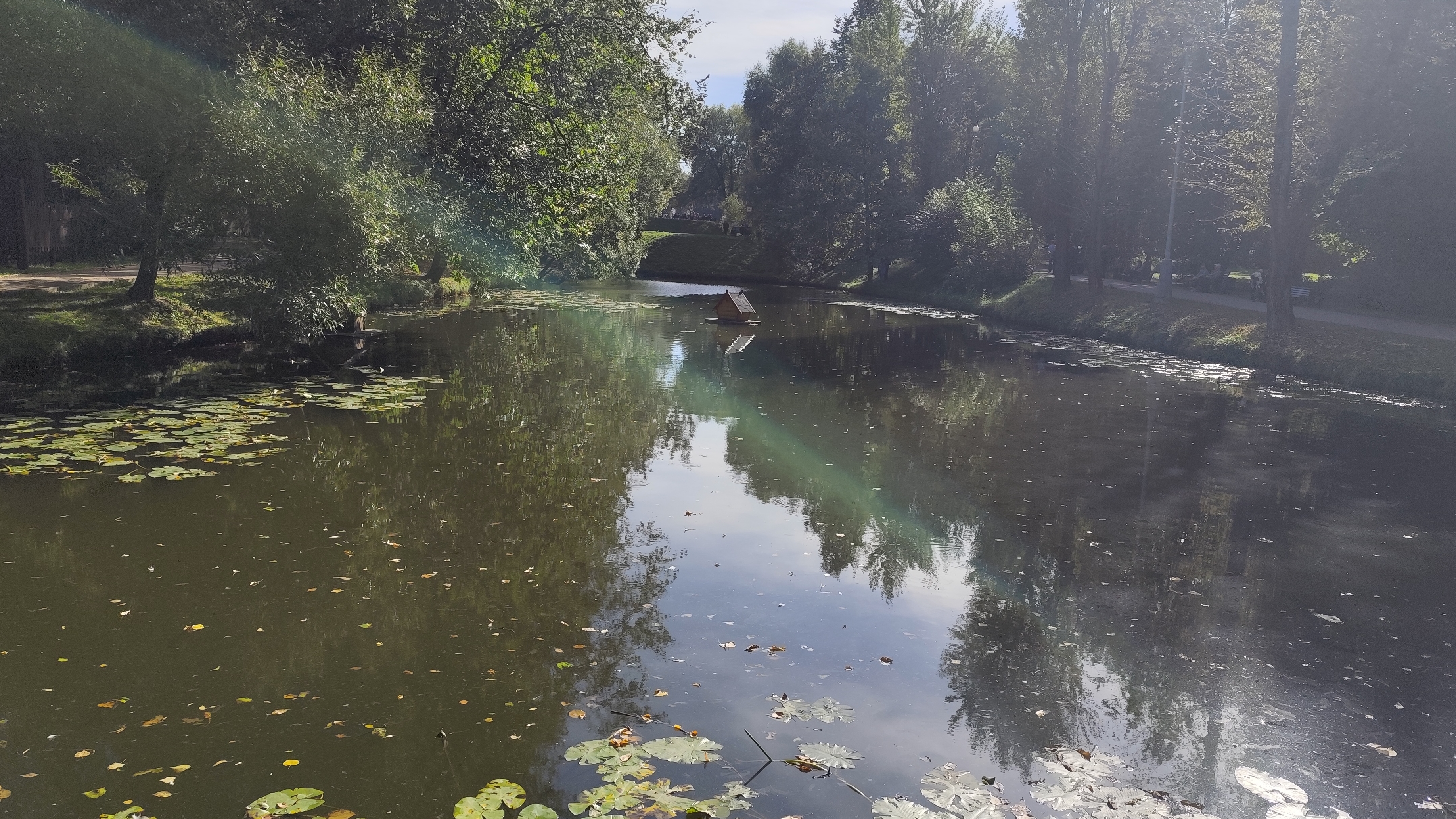ВОРОНЦОВСКИЙ ПАРК -МОРМО! #рыбалка #fish #fishing #природа #отдых #рыба #ратан #красота #хобби