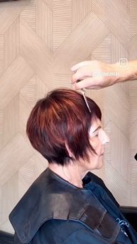 Объемный Пикси-Боб после 75 лет