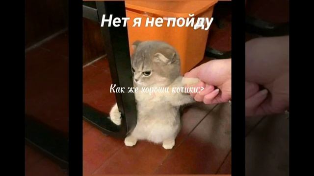это долго