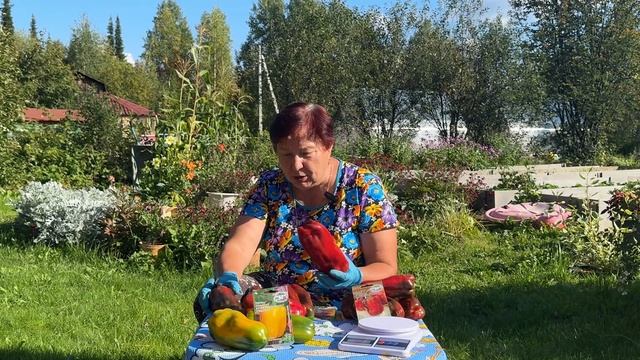 ОТЗЫВ О ПЕРЦАХ-ПОЛКОВОДЦАХ. СЕМЕНА СЕДЕК.